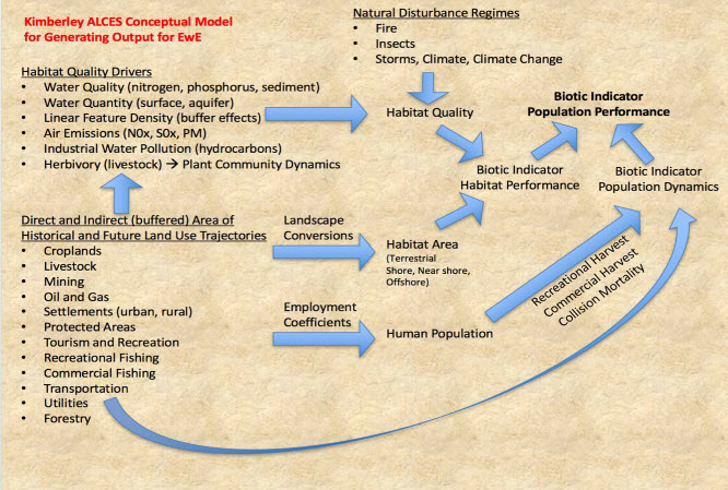 Alces Model