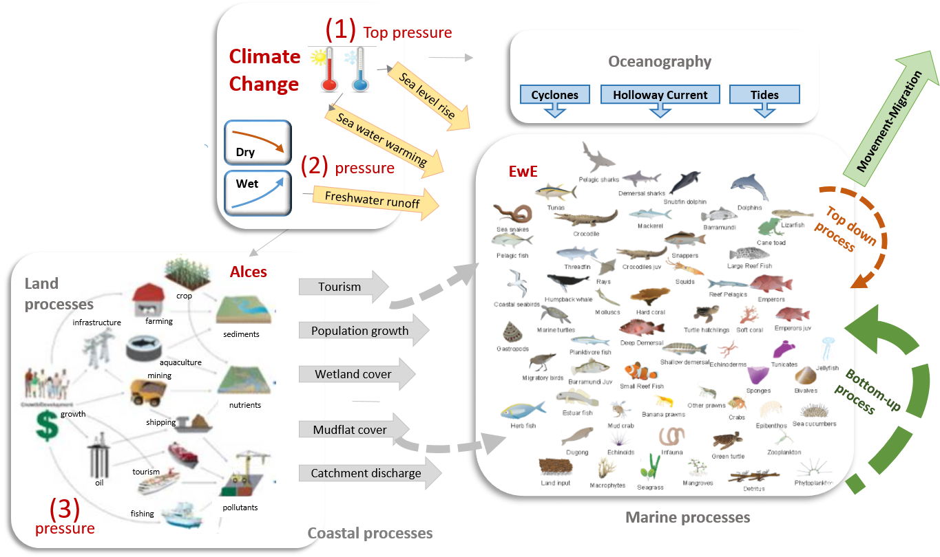 Alces Model